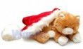 Peluche gatito